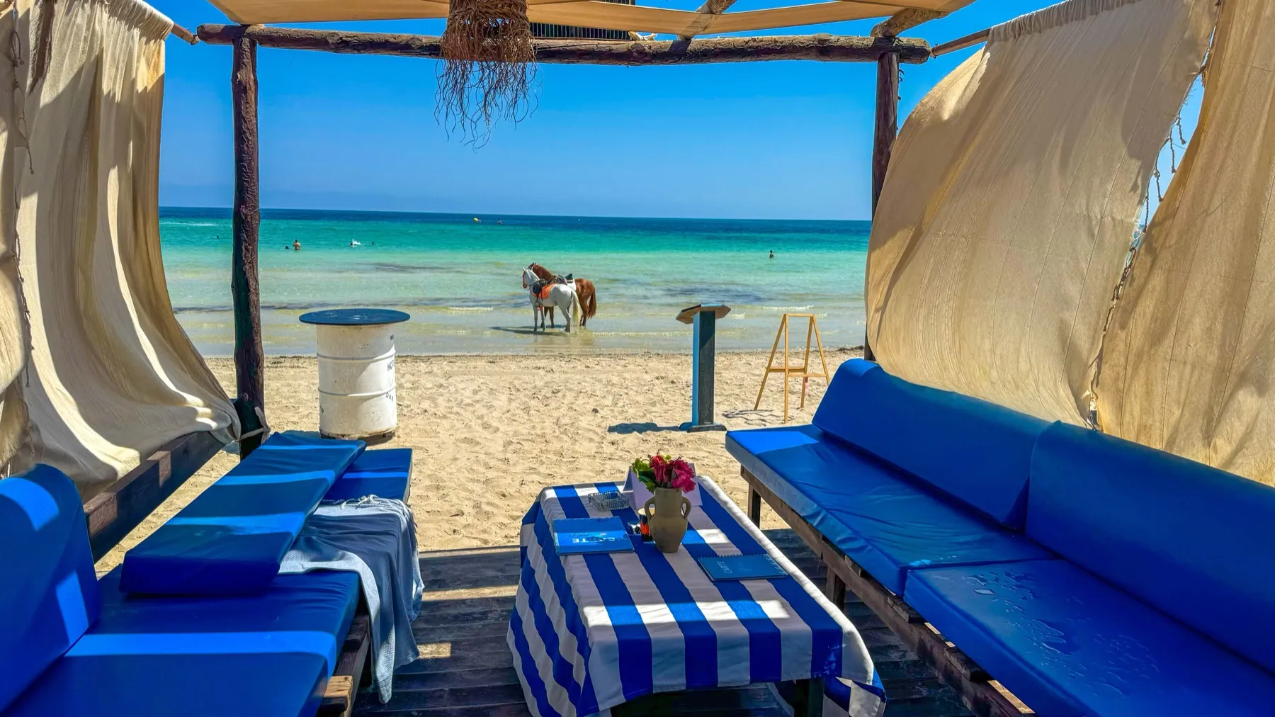 Banquettes rayées bleu et blanc du beach bar de Dar El Bhar sous la pergola en palmes, face à la mer