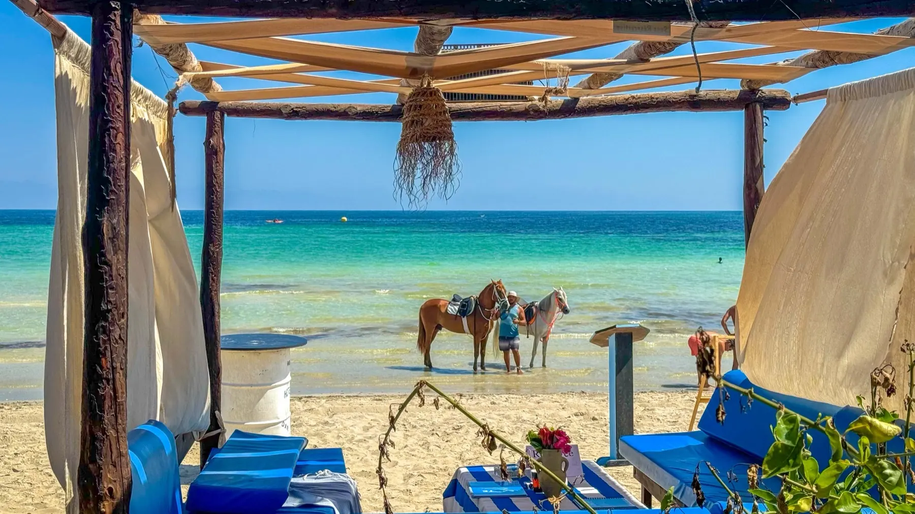 La pergola du beach bar de Dar El Bhar ouverte sur la plage de Sidi Mehrez, deux chevaux passant au bord de l'eau